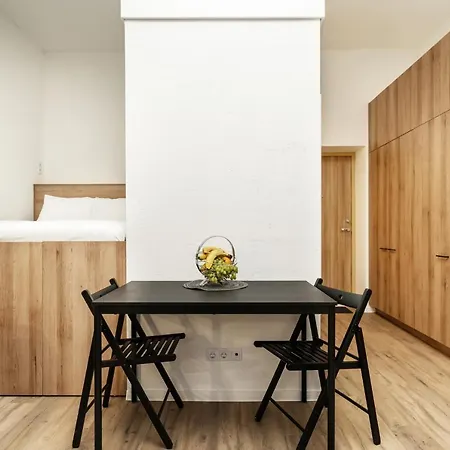 Air 318 Apartment *